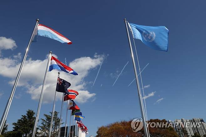 유엔기념공원에 게양된 유엔기와 참전 국기  [연합뉴스 자료사진]