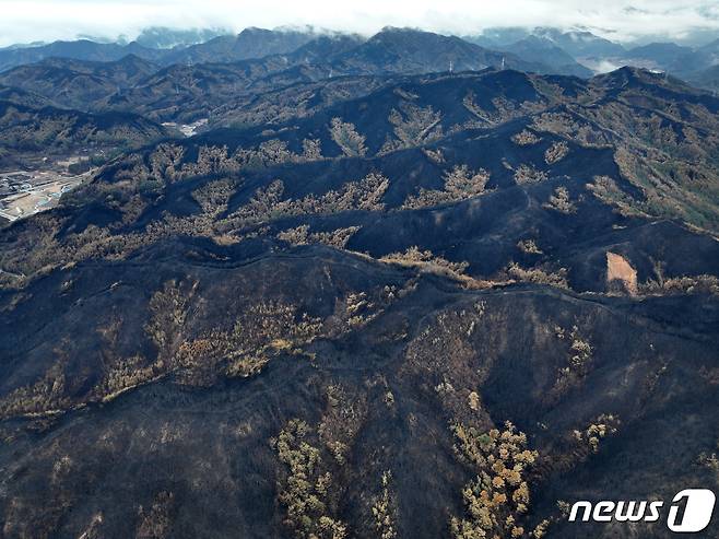 지난 3월13일 경북 울진군 북면에서 본 산들이 잿더미로 변해있다. 이번 산불로 울진군은 1만8463ha가 불에 탔다.  2022.3.13/뉴스1 © News1 최창호 기자