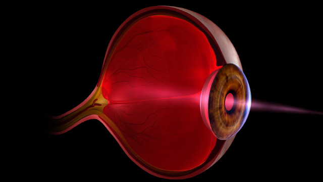 당뇨병 환자의 시력저하 원인은 망막 모세혈관의 변성에 있다./사진=클립아트코리아