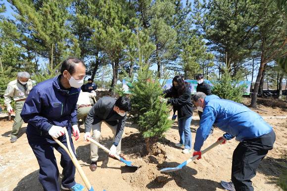 '탄소상쇄 숲' 조성을 위한 식목행사에서 (왼쪽부터) 최문순 강원도지사, 이정호 KB생명보험 전무, 강태선 강원세계산림엑스포조직위원장이 함께 나무를 심고 있다. (이 사진은 기사 내용과 무관합니다.) [사진=KB생명보험]