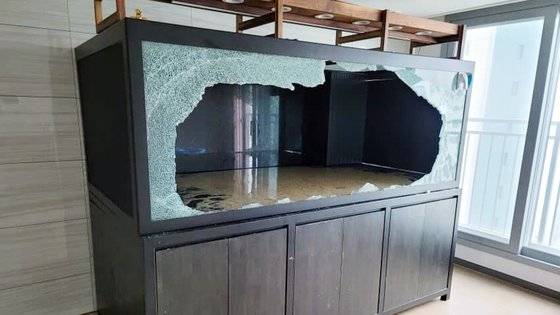 지난달 경기도 평택의 한 아파트에서 2m 크기의 대형 어항이 터지는 사고가 발생했다. [온라인커뮤니티 '에펨코리아']
