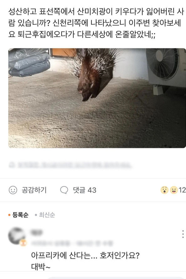 최근 서귀포시에서 발견된 산미치광이/사진=온라인 커뮤니티 캡처