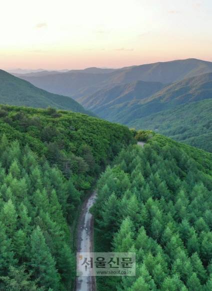 ‘운탄고도1330’ 5길의 들머리인 강원 정선 만항재 전경. ‘1330’은 만항재의 해발고도를 뜻한다. 고개 오른쪽 아래로 야생화 공원이 넓게 펼쳐져 있다.