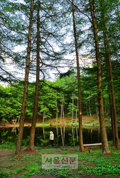 광부 아내들의 사연이 담긴 도롱이못. 운탄고도에서 가장 서정적인 풍광을 갈무리하고 있다.