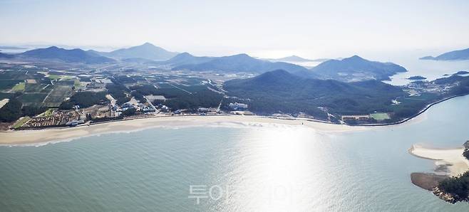 임자도 대광해변튤립공원