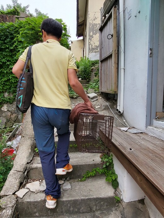 21일 오전 9시께 인천 미추홀구 전도관 재개발구역에 남은 동네 길고양이를 구하기 위해 민운기 인천도시공공성네트워크 간사가 포획틀을 옮기고 있다. 이승욱 기자