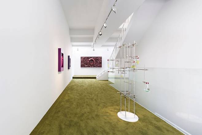 An installation view of “Begin Where You Are” at Gladstone Seoul (Gladstone Gallery)