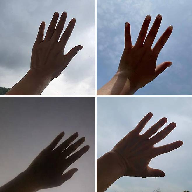 (왼쪽 위부터 시계 방향으로) 뮤지컬 배우 전수경, 정선아, 이건명, 신영숙가 인스타그램에 올린 손으로 하늘을 가리려는 듯한 사진./사진=각 스타 인스타그램
