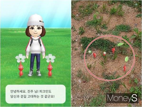 '피크민 블룸'에 최초 접속시 본인 캐릭터를 직접 설정할 수 있다. 본인 캐릭터가 게임 상에서 움직이는 모습을 볼 수도 있고 이를 중심으로 피크민들이 집합하기도 한다. AR모드로 전환하면 카메라처럼 접속자의 눈 앞에 보이는 장면이 나타나고 주변 피크민들이 해당 공간에서 움직이는 모습이 화면에 담긴다. /사진='피크민 블룸' 접속 화면 캡처