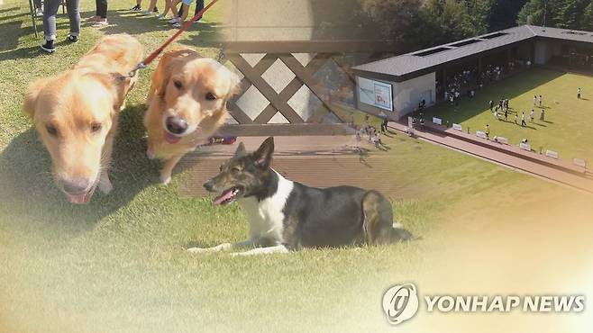 반려동물 (CG) ※ 기사와 직접 관련이 없는 자료사진입니다. [연합뉴스TV 제공]