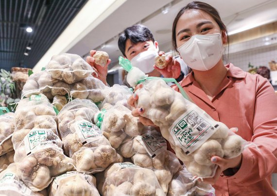 현대百 "맛과 향이 좋은 '홍산마늘