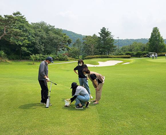 경기도보건환경연구원이 관내 골프장의 잔디, 수목 등에 살포한 농약으로 인한 토양 및 수질 오염 예방을 위해 농약 잔류량 조사를 하고 있다.  [사진=경기도청]