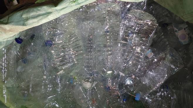 투명 페트 수거함에 쌓여있는 생수 페트병. 중앙포토