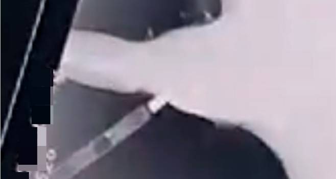 유기견의 어깨 뼈에 박혀 있던 마취총 주사기./사진=동물자유연대