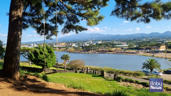 수산봉 그네. 그네 너머 수산저수지와 한라산의 풍경이 아름답다. ⓒ김재원