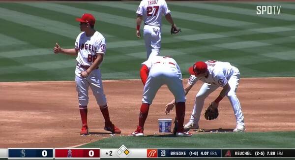 이글레시아스가 던진 껌을 다시 통에 주워 담고 있는 에인절스 야수진들. ⓒ스포티비 나우 중계 캡쳐