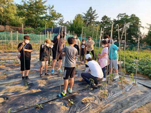 금빛마을학교 학생들이 텃밭가꾸기 수업에 참여하고 있다. 사진=충남교육청 제공
