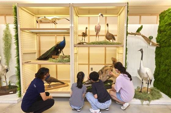 서울대공원 동물 표본수장고에는 수많은 골격 표본·동물 박제·모피 표본이 있다. 소중 학생기자단은 진짜 동물 같아서 무섭지 않고 친근하다며 스스럼없이 박제를 만지고 관찰했다.