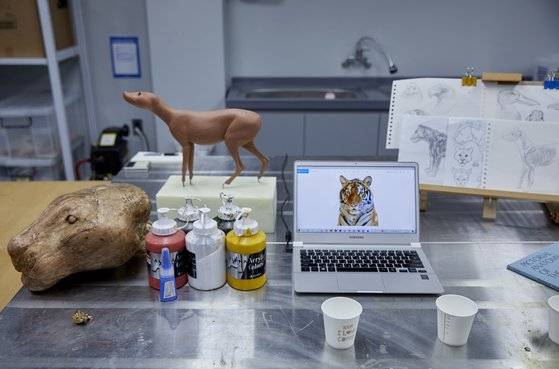 호랑이 머리 마네킹과 샘플 작품을 참고해 작업했다.