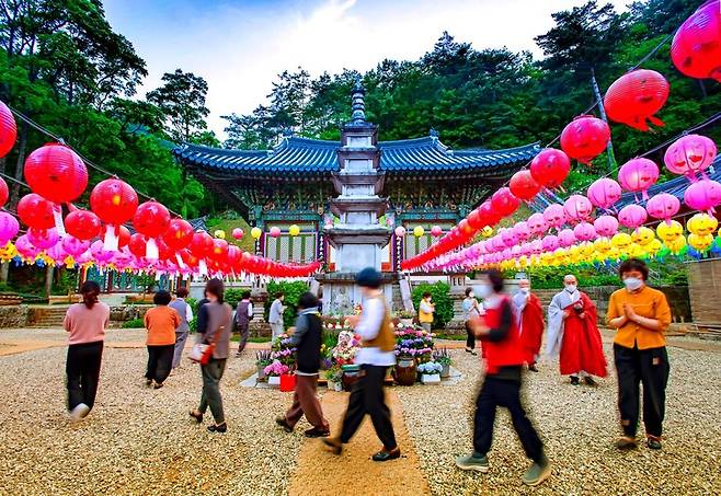 천은사의 탑돌이 [삼척시 제공.재판매 및 DB 금지]