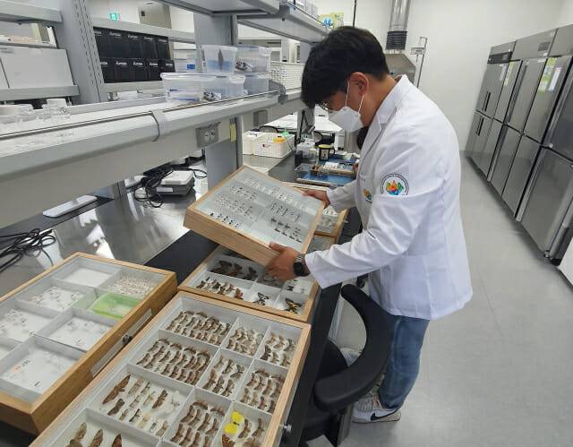 국립호남권생물자원관 연구원이 생물표본을 살펴보고 있다.