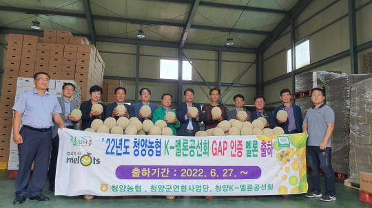 청양군이 지난 27일 청양농협 농산물유통센터에서 칠갑마루멜론 첫 출하식을 가졌다.사진=청양군 제공