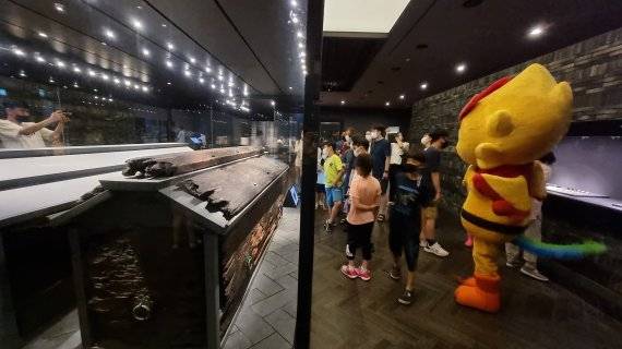 문화재청은 공주·부여·익산, 백제세계유산센터 등 8개 기관과 협력해 오는 7월 8일부터 14일까지 2022 '백제문화유산주간'을 개최한다고 28일 밝혔다. 사진은 체험형 행사인 '백제문화유산 녹턴'