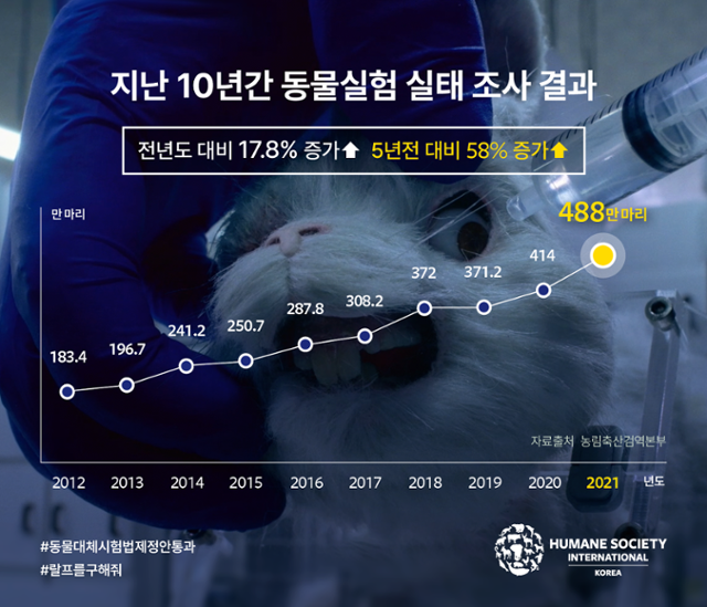 2021년 국내에서 동물실험에 동원된 동물이 488만여 마리로 조사됐다. 동물실험윤리제도가 도입∙시행된 2008년부터 관련 통계가 작성된 후 연간 최대치다. 휴메인소사이어티인터내셔널 제공