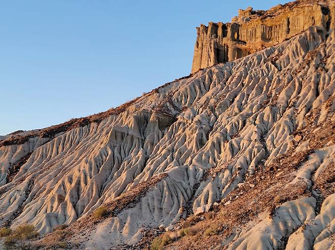 회색빛 주름과 붉게 솟은 돌기둥이 묘한 대조를 이루고 있다.