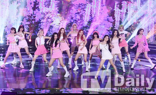 티브이데일리 포토