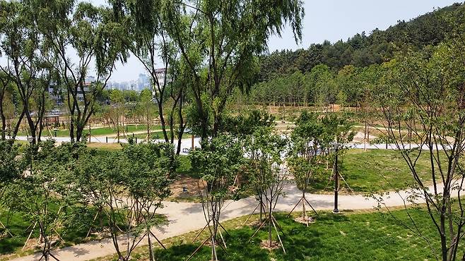 대구대표도시숲 [대구시 제공.재판매 및 DB 금지]