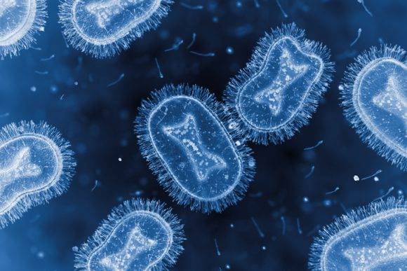 원숭이두창 바이러스 이미지 [사진=BlackJack3D/게티이미지뱅크]