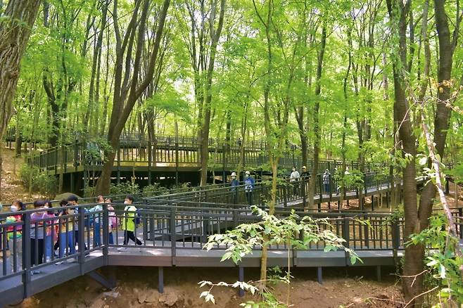 수락산 무장애숲길 순환산책로. 노원구청 제공