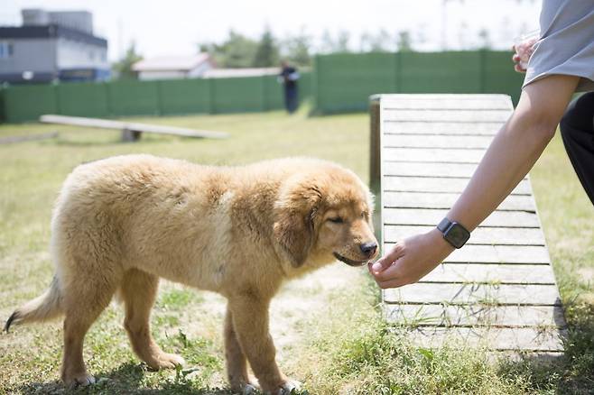 [사진 제공 = 한국관광공사]
