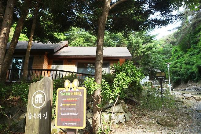 [사진 제공 = 한국관광공사]