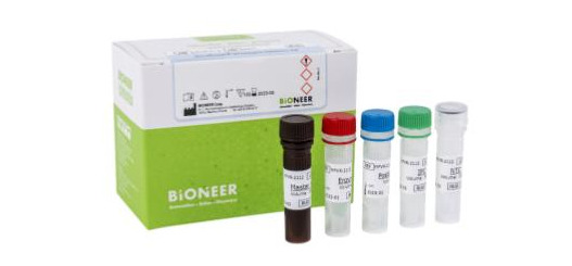 AccuPower® Monkeypox Detection Kit /사진=바이오니아