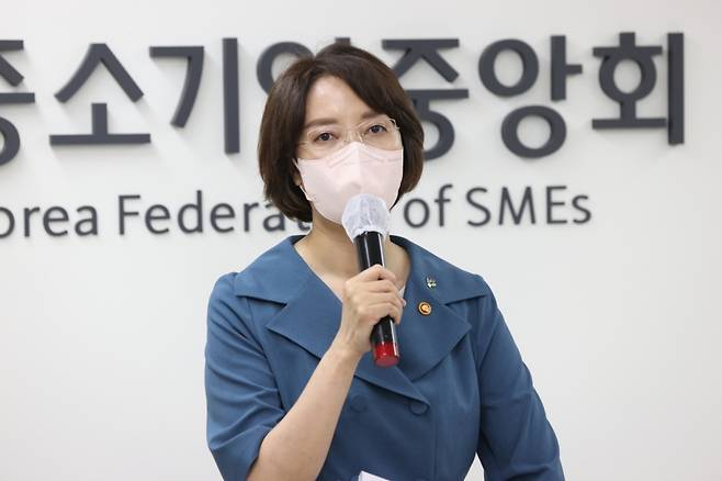 이영 중소벤처기업부 장관이 29일 서울 중소기업중앙회에 방문해 기자들과 만나 현안 질의에 답하고 있다 /사진=중소벤처기업부