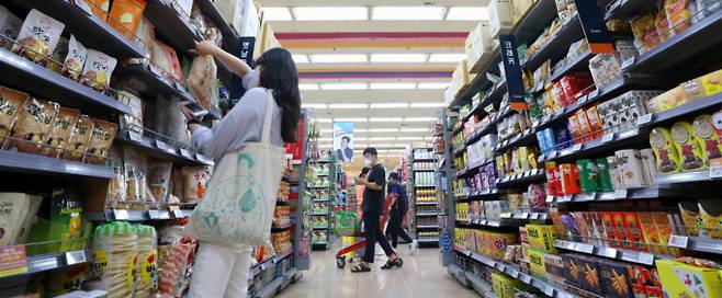정부가 대형마트의 의무휴업일에도 온라인 배송 업무를 허용해주는 방안을 검토하기로 했다. 사진은 서울 시내 한 대형마트에서 고객들이 장을 보고 있는 모습. /사진=뉴시스