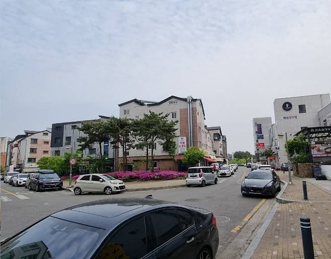 호매실 벚꽃거리 . / 사진제공=수원시