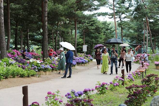 자라섬 남도 꽃정원. (사진=가평군 제공) *재판매 및 DB 금지