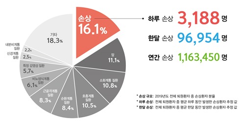 2019년 질환별 퇴원환자 분포 (질병관리청 제공) © 뉴스1