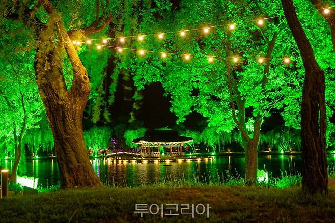 서동공원(궁남지) 야간경관