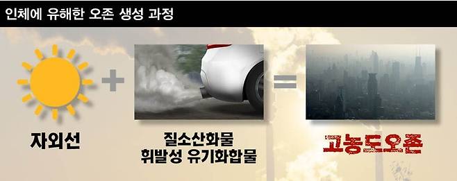 그래픽_ 스프레드팀