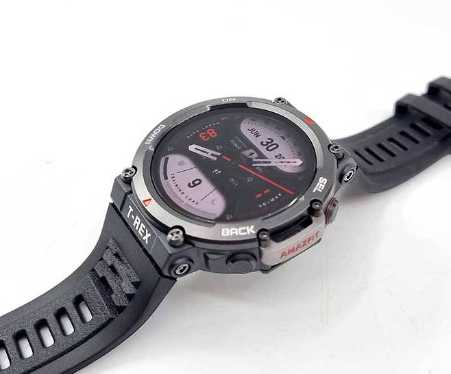 어메이즈핏 티렉스2(엠버 블랙)