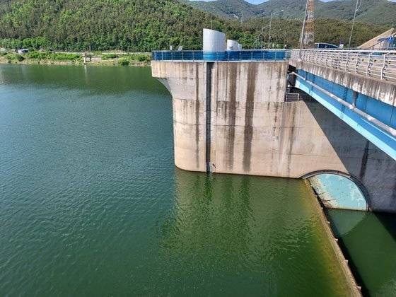지난달 16일 녹조가 낀 낙동강 창녕함안보의 모습. 연합뉴스[낙동강네트워크 제공]