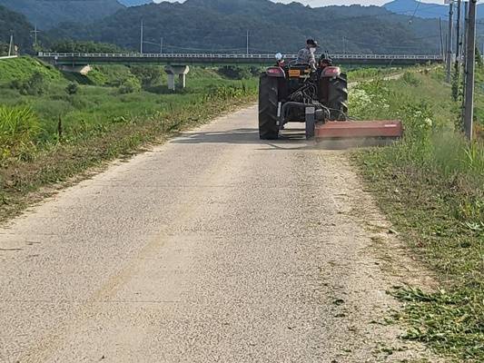 하천제방 제초작업 ⓒ성주군청 제공