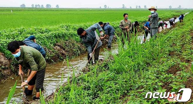 (평양 노동신문=뉴스1) = 북한이 장마철을 맞아 홍수 피해를 예방하는데 총력을 기울이고 있다. [국내에서만 사용가능. 재배포 금지. DB 금지. For Use Only in the Republic of Korea. Redistribution Prohibited] rodongphoto@news1.kr