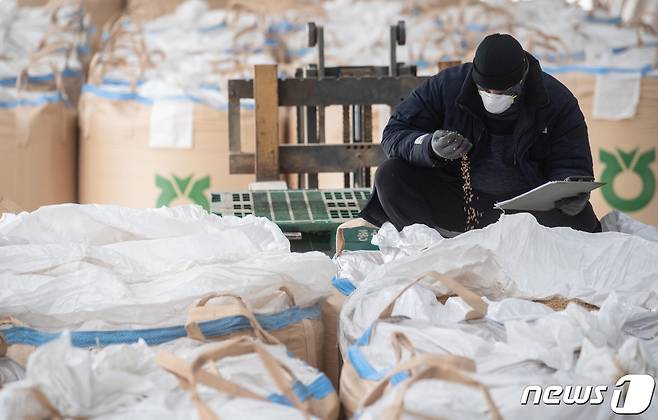 더불어민주당과 정부가 쌀값 하락 대책으로 넘치는 물량 27만톤(t) 중 20만톤을 정부가 사들이는 시장격리 조치를 실시하기로 한 가운데 28일 오후 경기도 화성시 비봉면 수라청연합농협미곡처리장(RPC)에서 관계자가 수매한 벼를 살펴보고 있다. 당정은 이번 시장격리를 통해 쌀값 20만원선을 안정적으로 유지한다는 방침이다. 2021.12.28/뉴스1 © News1 김영운 기자