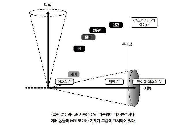 아닐 세스는 의식과 지능은 분리 가능하며 지능은 의식 없이도, 의식은 지능 없이도 존재할 수 있다고 주장한다. 흐름출판 제공