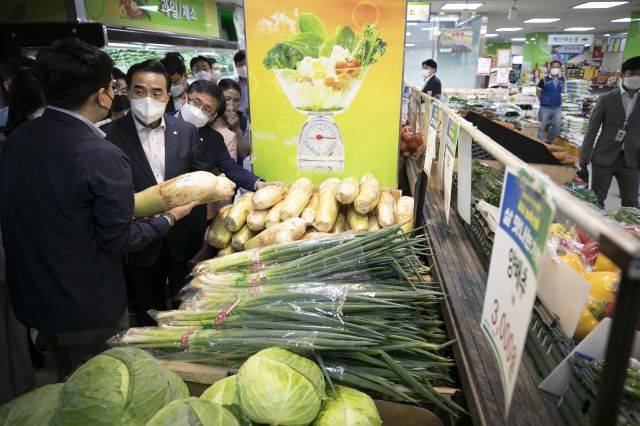 박홍근 더불어민주당 원내대표와 3기 원내대표단이 15일 오전 물가폭등 점검을 위해 서울 영등포구 농협하나로마트 여의대방로점을 찾아 채소 등 먹거리 가격을 확인하고 있다. 2022.6.15 [국회사진기자단]